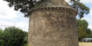 Le chêne Bonzaï de Béguard