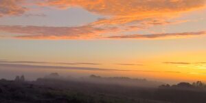 Vallée dans la brume