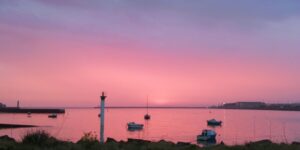 saint-laurent en rose