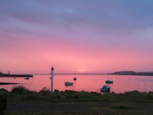 saint-laurent en rose