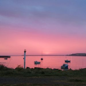 saint-laurent en rose