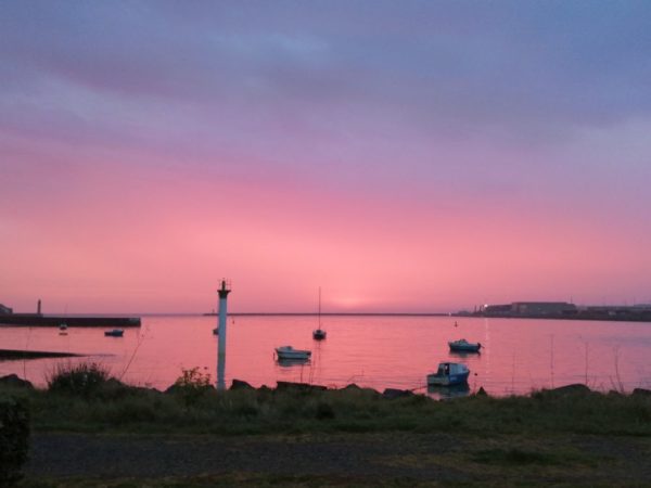 saint-laurent en rose