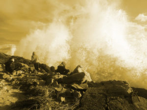 La vague palma