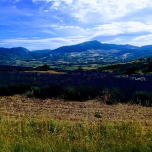 Paysage de Provence