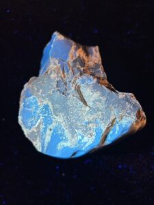 Ambre de la Baltique sous uv